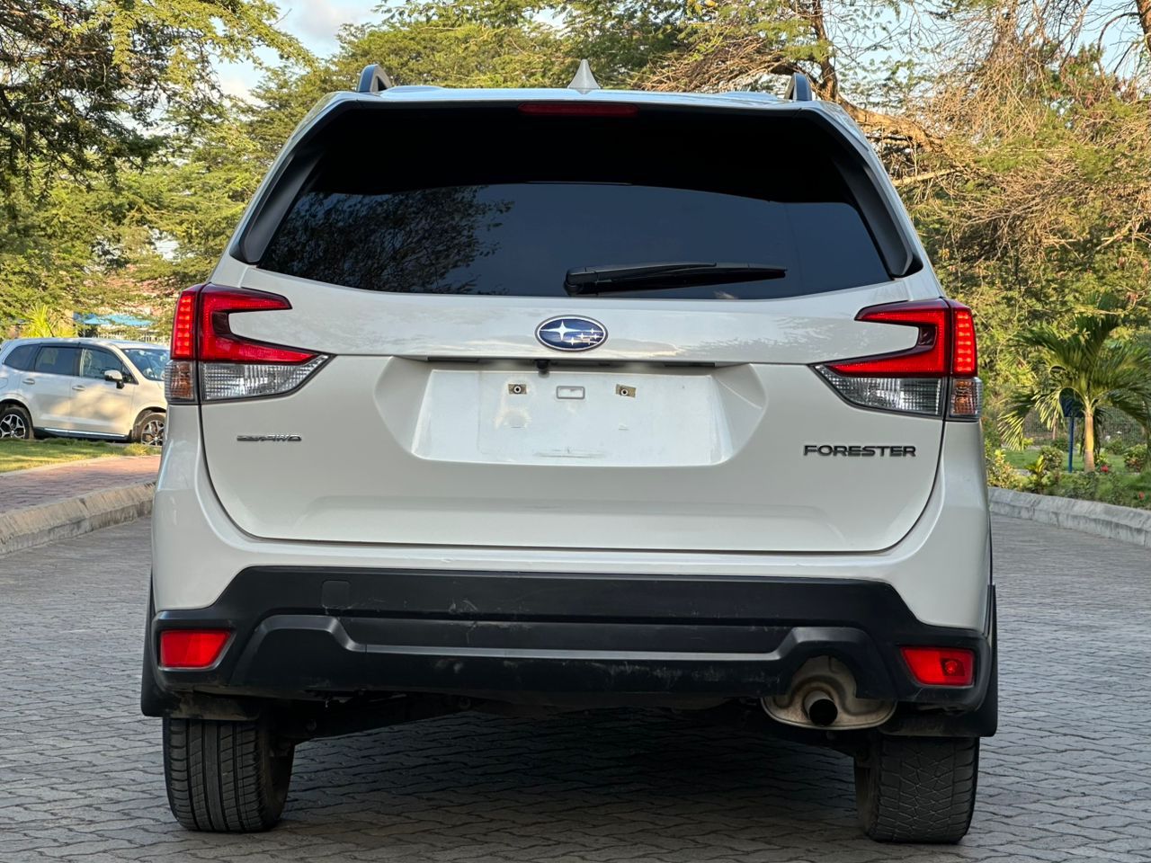 FORESTER thumbnail 2